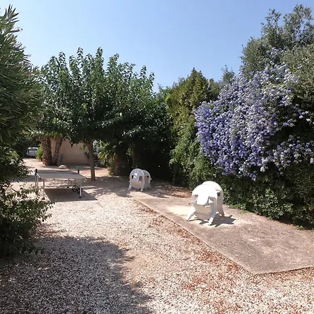 Orangeraie-1-claira Appartement *