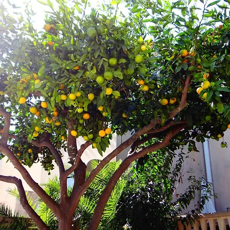 Appartement Orangeraie-1-claira *