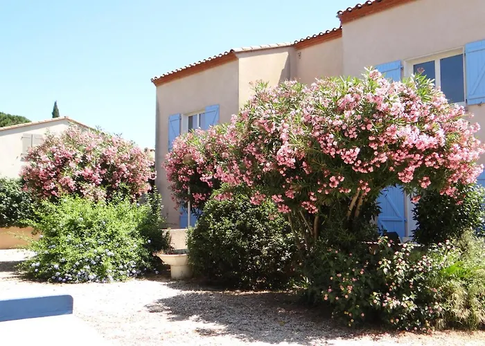 Orangeraie-1-claira *